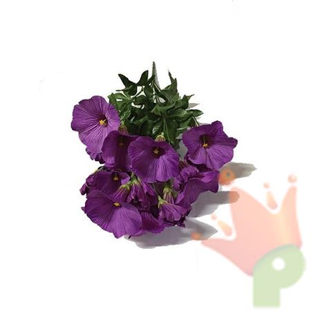 MAZZO CAMPANELLA 39CM VIOLA