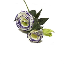 RAMO LISIANTHUS 70CM LILLA