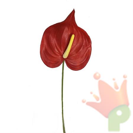 RAMO ANTHURIUM 62CM ROSSO