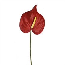 RAMO ANTHURIUM 62CM ROSSO