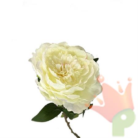 PEONIA 60 CM CREMA