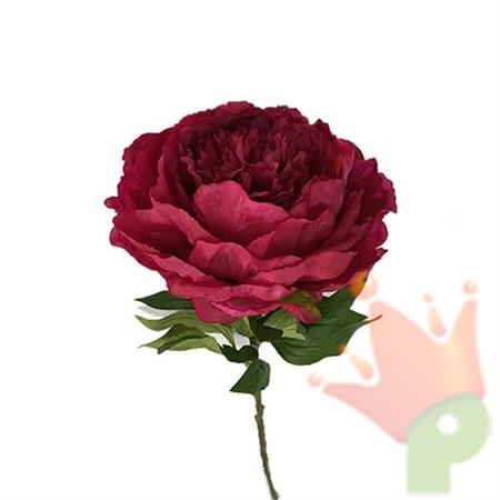 PEONIA 60 CM BORDEAUX
