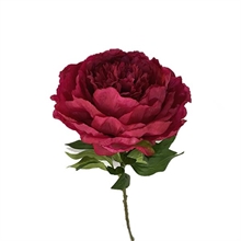 PEONIA 60 CM BORDEAUX