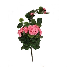 MAZZO GERANIO 33X70CM ROSA