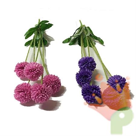 MAZZO ALLIUM