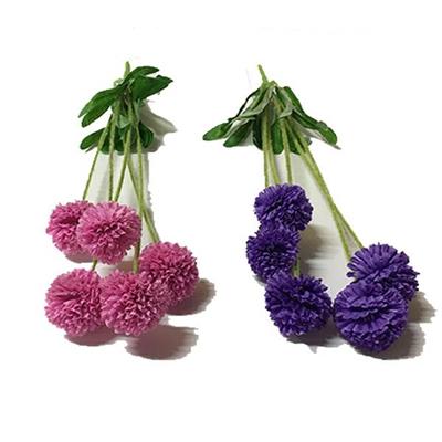 MAZZO ALLIUM