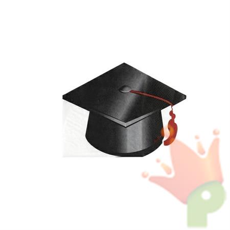 TOVAGLIOLI 33X25CM 3V GRADUATION LAUREA 16PZ