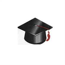 TOVAGLIOLI 33X25CM 3V GRADUATION LAUREA 16PZ