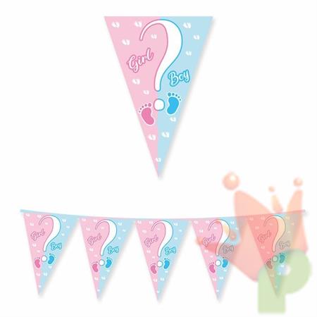 FESTONE BANDIERINE BABY GIORL OR BOY? 3MT