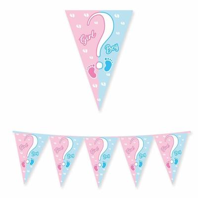 FESTONE BANDIERINE BABY GIORL OR BOY? 3MT