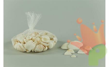CONCHIGLIE IN SACCHETTO 300GR NATURALE