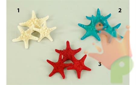 STELLE MARINE 10CM BLU N.2