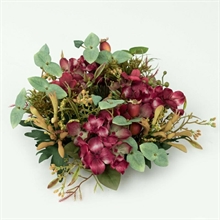 GIROCANDELA HYDRAGENA BORDEAUX