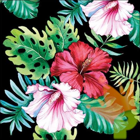 TOVAGLIOLI 33X33 HIBISCUS FLORAL BLACK 20PZ