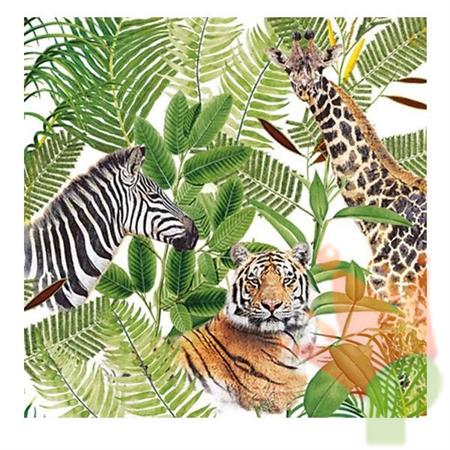 TOVAGLIOLI 33X33 SAFARI 20PZ