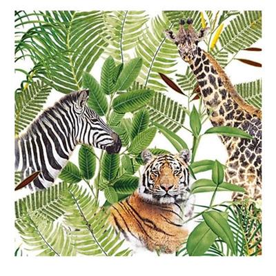 TOVAGLIOLI 33X33 SAFARI 20PZ