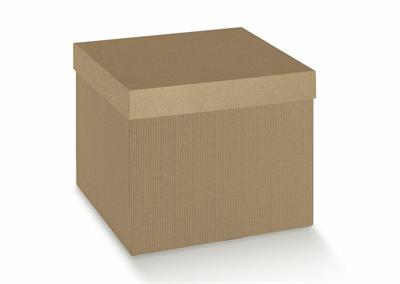 SCATOLA CON COPERCHIO 20X20X11CM AVANA