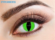 LENTI A CONTATTO MENSILI RAPTOR