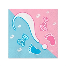 TOVAGLIOLI 25X25 BABY GIRL OR BOY? 20PZ