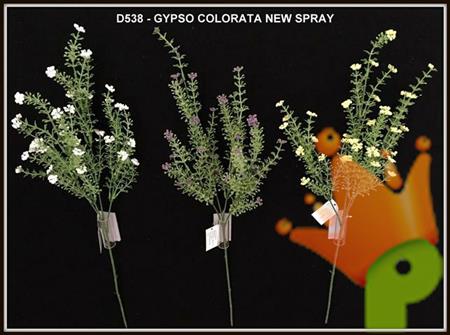 GYPSO COLORATA NEW SPRAY
