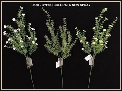 GYPSO COLORATA NEW SPRAY