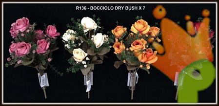 BOCCIOLO DRY BUSH