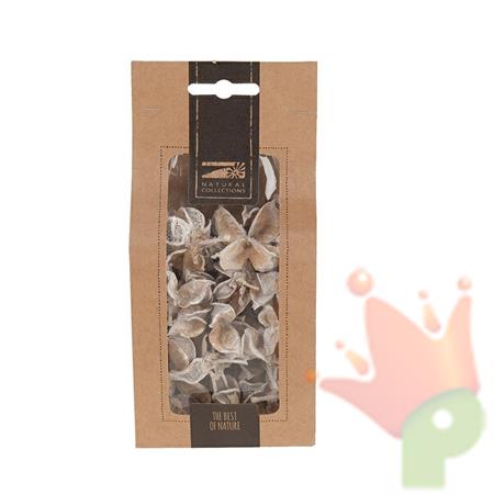 BACCELLI DI COCCO 40GR BIANCO