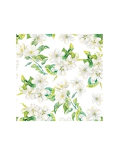 TOVAGLIOLI 33X33 CHERRY BLOSSOM GREY 20PZ