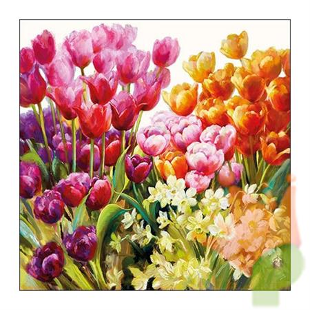 TOVAGLIOLI 33X33 TULIPS 20PZ
