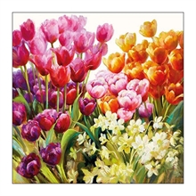 TOVAGLIOLI 33X33 TULIPS 20PZ