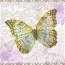 TOVAGLIOLI 33X33 PAPILLON 20PZ