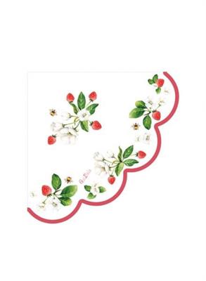 TOVAGLIOLI 33X33 LA FRAISE CHIC 16PZ