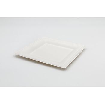 PIATTI PIANI 20X20CM PULP 15PZ