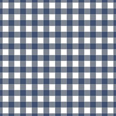 TOVAGLIOLI HOSTARIA BLU 40X40 50PZ
