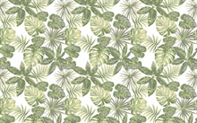 ROTOLO TOVAGLIA ISABEL VERDE 1,2X5MT