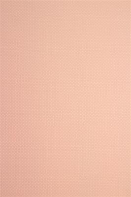 GOMMA CREPLA POIS 2 MM 40X60 ROSA PASTELLO / BIANCO