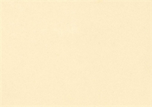 MOOSGUMMI 2 MM 30 X 40 CM CREMA