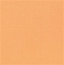 MOOSGUMMI 2 MM 30X40 CM TINTA CARNE CHIARO