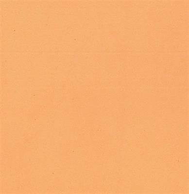 MOOSGUMMI 2 MM 30X40 CM TINTA CARNE CHIARO