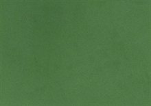MOOSGUMMI 2 MM 30X40 CM VERDE MUSCHIO