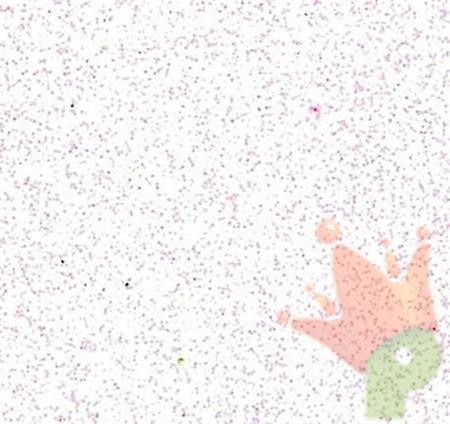 MOOSGUMMI 2 MM 30X40 CM BIANCO GLITTER
