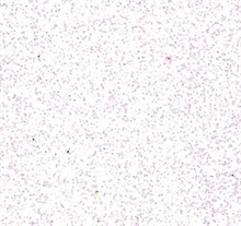 MOOSGUMMI 2 MM 30X40 CM BIANCO GLITTER