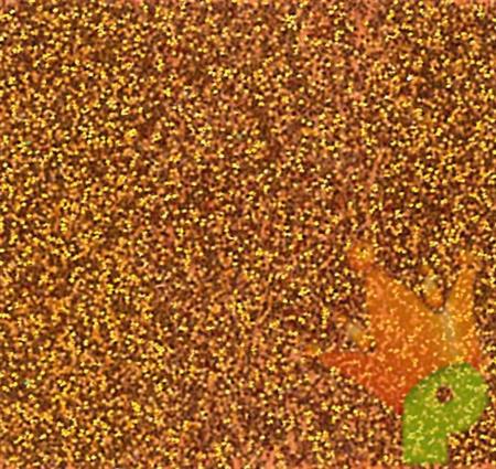 MOOSGUMMI 2 MM 30X40 CM ARANCIO GLITTER