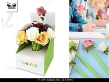 PENNA ROSA MULTICOLOR