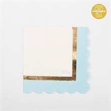 TOVAGLIOLI 33X33 BABY CHIC AZZURRO CON SMERLO 16 PZ