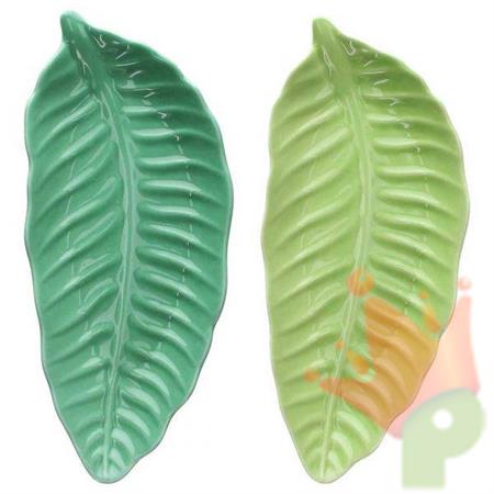 PIATTO FORMA FOGLIA 28X12X3 CM RELIEF PACHY