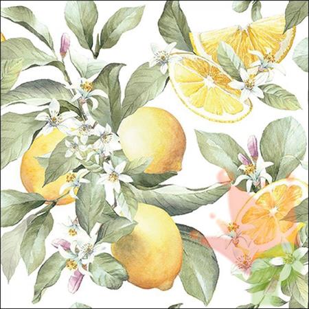 TOVAGLIOLI 33X33 3V LIMONI 20 PZ