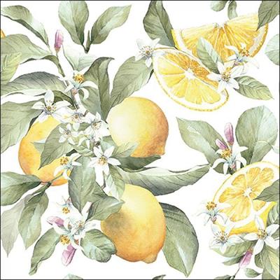 TOVAGLIOLI 33X33 3V LIMONI 20 PZ