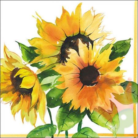 TOVAGLIOLI 33X33 3V GIRASOLI 20 PZ