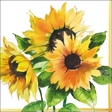 TOVAGLIOLI 33X33 3V GIRASOLI 20 PZ